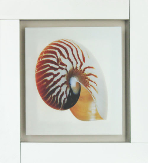 kxjzk-08 59.5x59.5 0.038-2pcs (7)